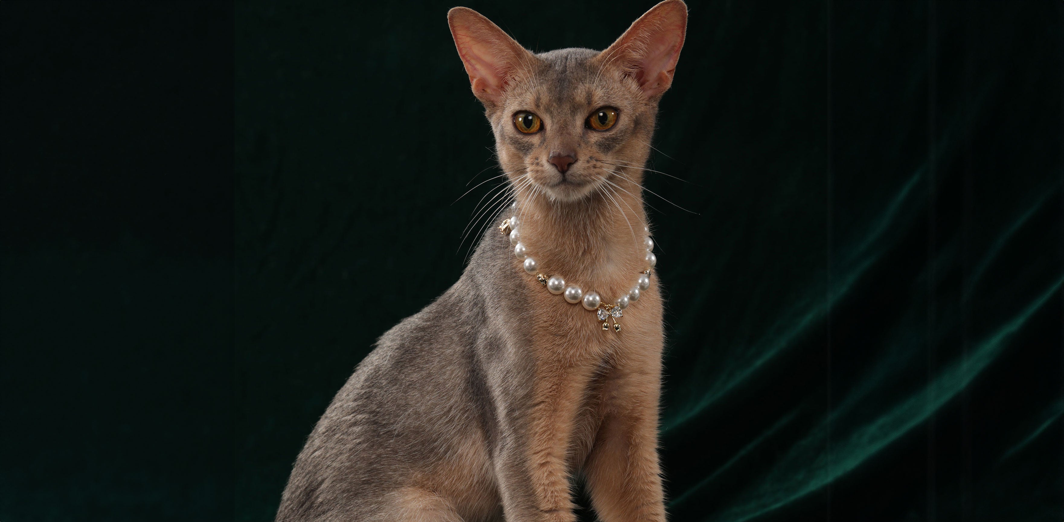 Handcraft Jewelry for Your Beloved Pets