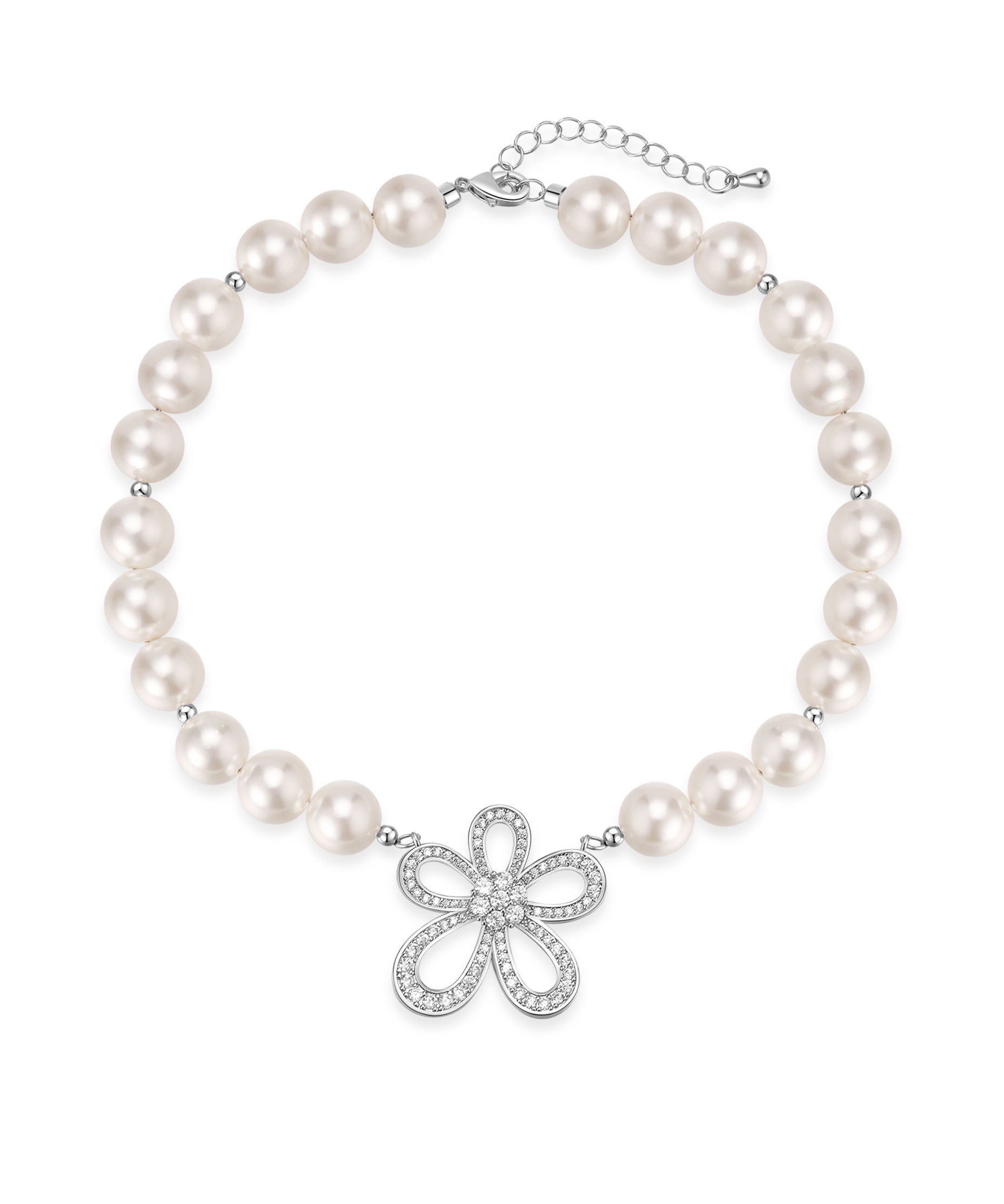 Star Magnolia
