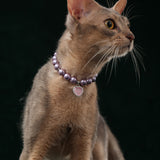 Starry Sky - Regal Purple